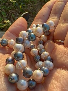 Freshwater Pearl Necklace in White and Iridescent Gray - Unbranded